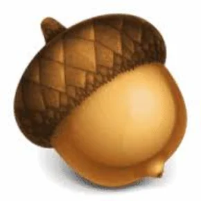 Acorn v7.4 for Mac – Download Professional Version